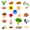 Set of Vitamin K origin natural sources. Healthy diary food, green vegetables, berries, fish, mushrooms, eggs. Organic