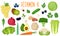 Set of vitamin K sources. Healthy food. Collection of vegetables, fruits, greens and nuts enriched vitamin C. Vector illustration