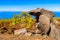 Set of volcanic rocks forming a cave behind a fir forest and the Atlantic Ocean in El Teide National Park. April 13, 2019. Santa