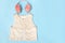 A set of warm clothes. Fluffy pink earmuffs and a white vest on a blue background. Top view flat lay copy space