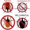 A set of warning sign. Spider mites. Red mite. Mite allergy. Epidemic. Mite parasites illustration