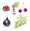 Set of watecolor fruit clipart