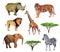 Set of watercolor African animals. Realistic elephant, tiger, giraffe and other safari animals isolated on white