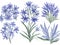 set of watercolor agapanthus flower on transparent background,generative ai