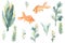 Set of watercolor aquarium plants and goldfish isolated on white background. Cartoon underwater herb, grass for fish