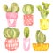 Set with watercolor blooming cactus in cute bright pots