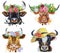 Set of watercolor bulls on white background.