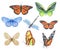 Set of watercolor butterflies and dragonfly isolated on white background. Bright green, blue, orange monarch butterfly