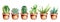 Set of watercolor cactus, aloe vera and flowers in ceramic pot