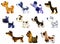 Set of watercolor cartoon dogs: dalmatian, poodle, doberman, spa