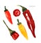 Set of watercolor chili pepper elements, hand painted isolated on a white background