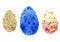 Set of watercolor eggs of wild birds, vector