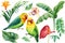 Set of watercolor elements. Green parrot, orchid, anthurium, tropical palm leaves.