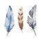 Set of watercolor feathers, blue, brown and gray