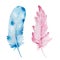 Set of watercolor feathers, blue and pink