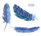 Set of watercolor feathers. Vector