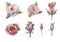 Set of watercolor flowers. Roses. Graphic element. Open and closed buds. Pink rose flower, red flower. Wedding concept