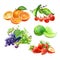 Set of watercolor fruits orange, cherry, lime, lemon, grape, strawberry isolated