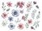 set of watercolor gypso flower on white background, generative ai