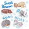 Set of watercolor hand drawn children illustrations with sleeping animals on blue clouds
