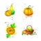 Set of watercolor hand drawn pictures. Yellow, orange ripe pumpkins. Lie individually or in a basket. Harvest concept