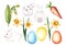 Set of watercolor illustrations depicting Easter bunnies, carrots and flowers. Elements are hand drawn and isolated on a white