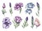 set of watercolor lisianthus on white background, generative ai