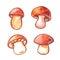 Set of Watercolor mushrooms. Natural design elements. Illustration for seasonal design, autumn cards and the theme of thanksgiving