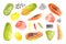 Set of watercolor papaya, abstract spots, brush strokes. Isolated bright illustration on white. Hand painted fruits