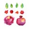 Set of watercolor pomegranates