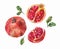 Set of watercolor pomegranates. A whole fruit and in a cut. Drawing isolated