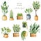 Set of watercolor potted plants, home plants collection