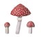 Set of watercolor redcap fly agarics. Hand-drawn poisonous mushrooms with dots on red caps and ring on grey stipe