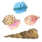 Set of watercolor seashells. Seashells, shells, corals, stones