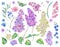 Set of watercolor spring nature floral elements