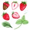 Set of watercolor strawberries. Hand drawn illustration. Ripe red berries and green leaves. Summer Strawberry.