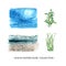 Set of watercolor under the sea, kelp illustration on white background