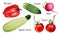 Set of watercolor vegetables. Hand-drawn illustration with isolated vegetables on white background.