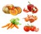 Set of watercolor vegetables onion, paprika, parrot, tomatoes, pumpkin isolated