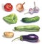Set of watercolor vegetables on white
