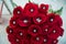 Set of wedding rings in Red rose taken closeup . Bride and groom rings on a red wedding bouquet. A bouquet of roses for a wedding