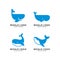 Set of whale species logo Vector illustration