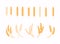 Set of wheats ears icons and wheat design elements. Harvest wheat grain, growth rice stalk and whole bread grains or field cereal