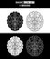 Set of white and black icon human brains. Vector illustration