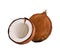 Set of whole coconut, coconut halves from splash of watercolors, colored drawing, realistic