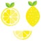 Set of whole, cut in half, sliced on pieces fresh lemons, leaves and flowers, twisted lemon peel hand drawn vector