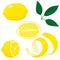 Set of whole, cut in half, sliced on pieces fresh lemons and leaves, lemon peel. Hand drawn vector illustration isolated