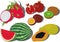 Set of whole and cutted tropical fruits vecor illustration