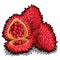 Set of whole and half of ripe Annatto tree fruit or Bixa orellana. Element of a popular seasoning for marinate. Tropical