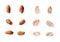 Set of whole and halves raw peanut seeds isolated on a white background. Variety of shelled groundnut or monkey nut cutout.